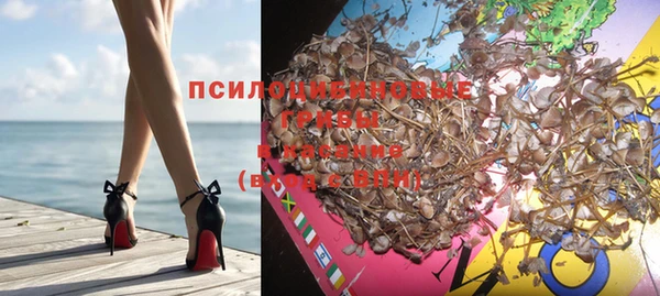 винт Аркадак