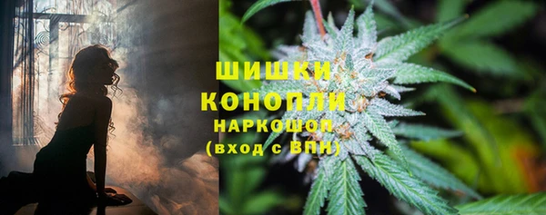 винт Аркадак