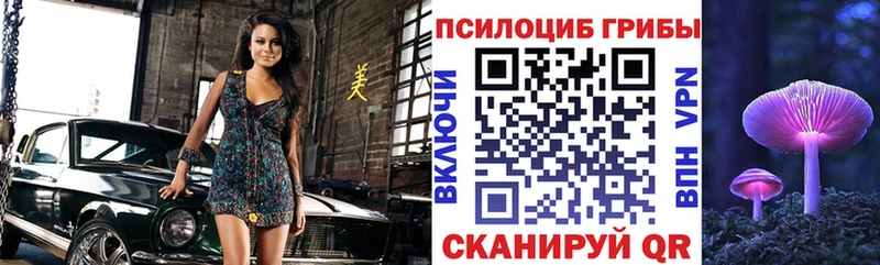 Купить  Новая Усмань  Галлюциногенные грибы Psilocybe 